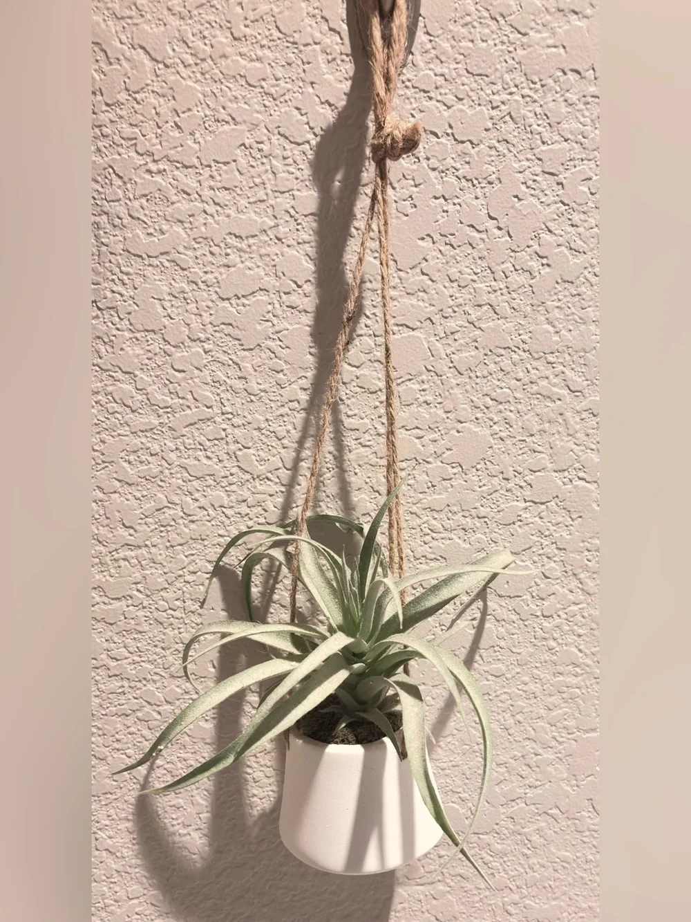 Neutral Green Hanging Faux Air Plant in White Ceramic Pot